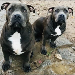 Meet your Posher, Jesse